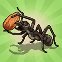 口袋蚂蚁(Pocket Ants)