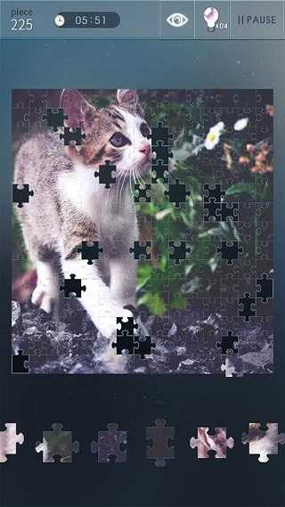 益智拼图世界(Jigsaw puzzle world)