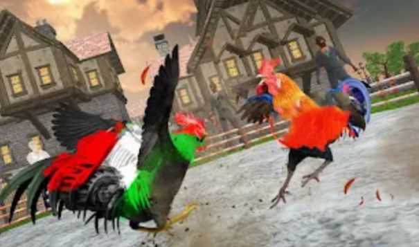 农场斗鸡2红包版(Farm Rooster Fighting: Angry Chicks Ring Fighter 2)