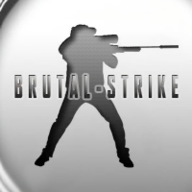 野蛮打击联机版(BrutalStrike v3616)