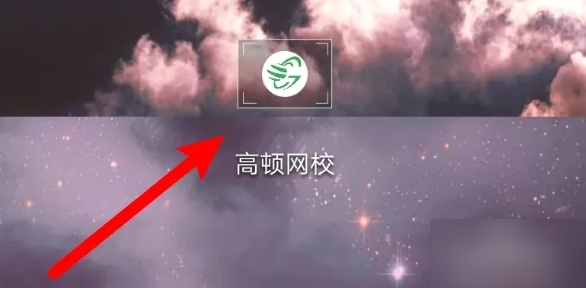 高顿网校11
