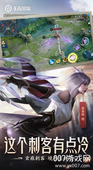 王者农药单机版旧版无需联网版