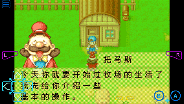 牧场物语矿石镇的伙伴们汉化版