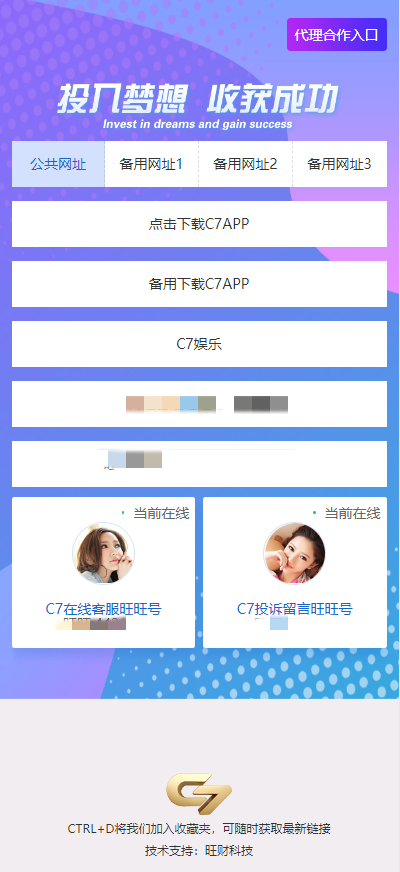 c7娱乐电子游戏模拟器