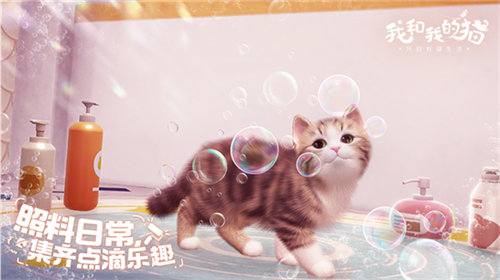 我和我的猫游戏安卓版