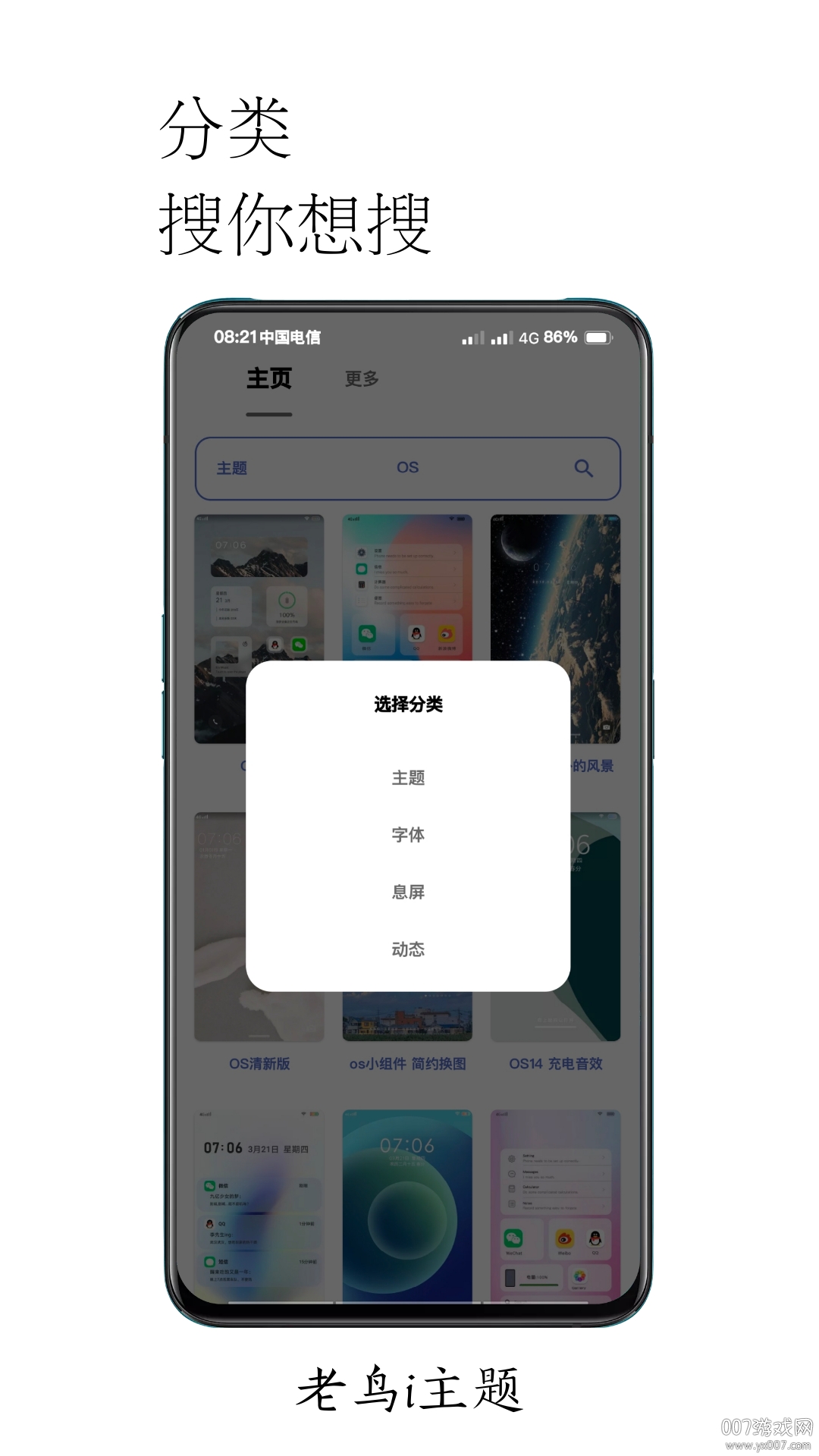 老鸟i主题轻量版