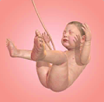 人类进化史无限金币版