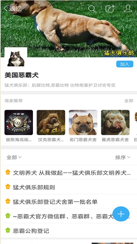 猛犬俱乐部交易平台