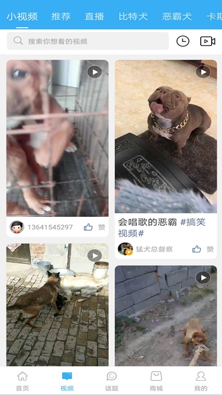 猛犬俱乐部交易平台