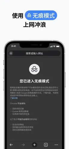 谷歌浏览器中文版