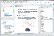 Oxygen XML Editor(XML编辑器)
