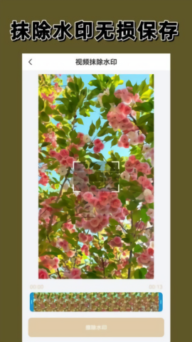 免费去水印大师app