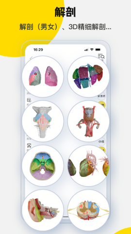 3dbody解剖app