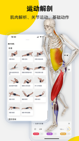 3dbody解剖app