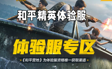 和平精英体验服合集