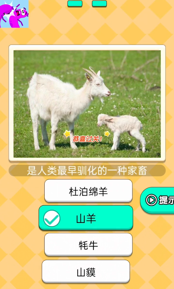 疯狂打年糕游戏