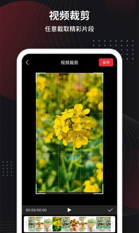 制作视频王年度会员版