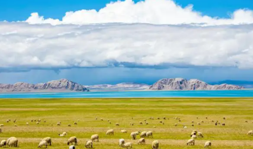 藏语翻译 藏语翻译