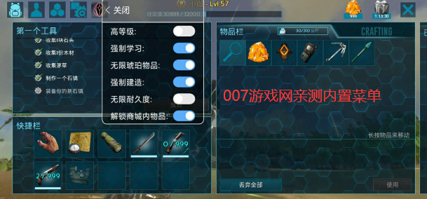 方舟进化生存国际服