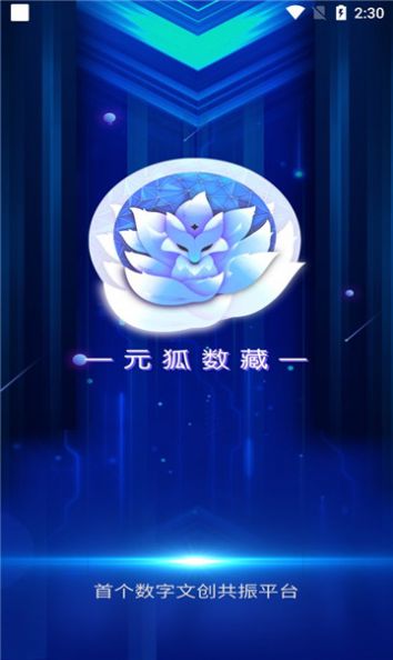 元狐数藏app