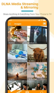 Gallery Cast(dlna投屏t