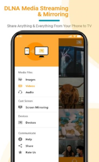 Gallery Cast(dlna投屏t