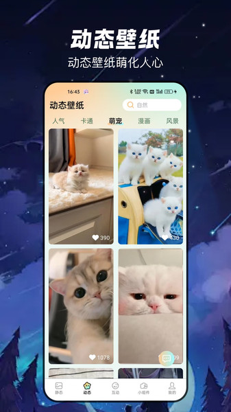 梦幻乐园壁纸