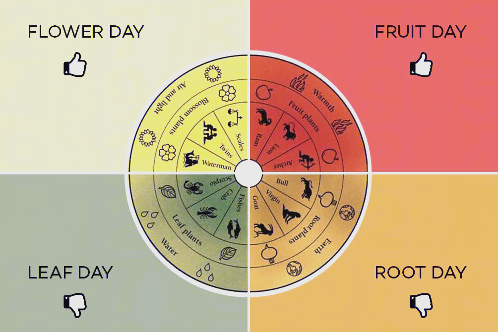 生物动力法日历