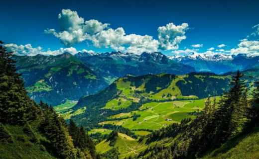 米卡盒子桌面组件