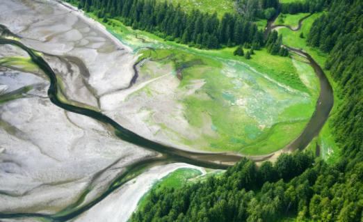 米卡盒子桌面组件