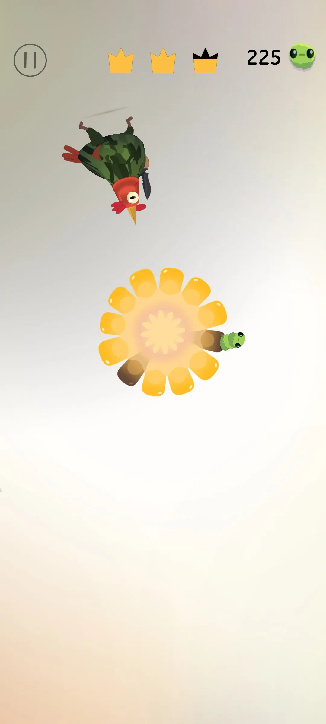 疯狂的鸽子苹果手机