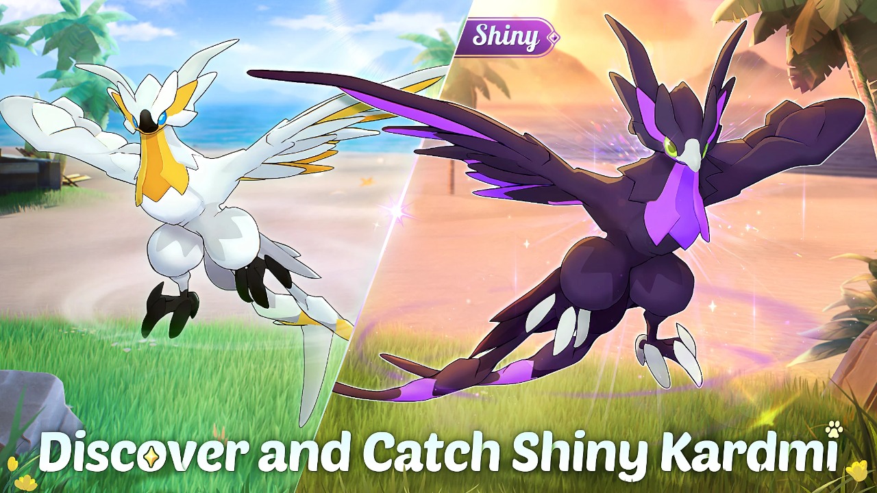 卡米的旅途国际服