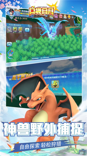 口袋日月vivo客户端