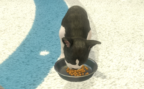 任天堂猫狗飞盘cia游戏下载(withMyDOG)