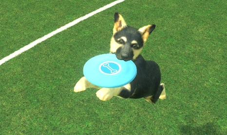 任天堂猫狗飞盘cia游戏下载(withMyDOG)