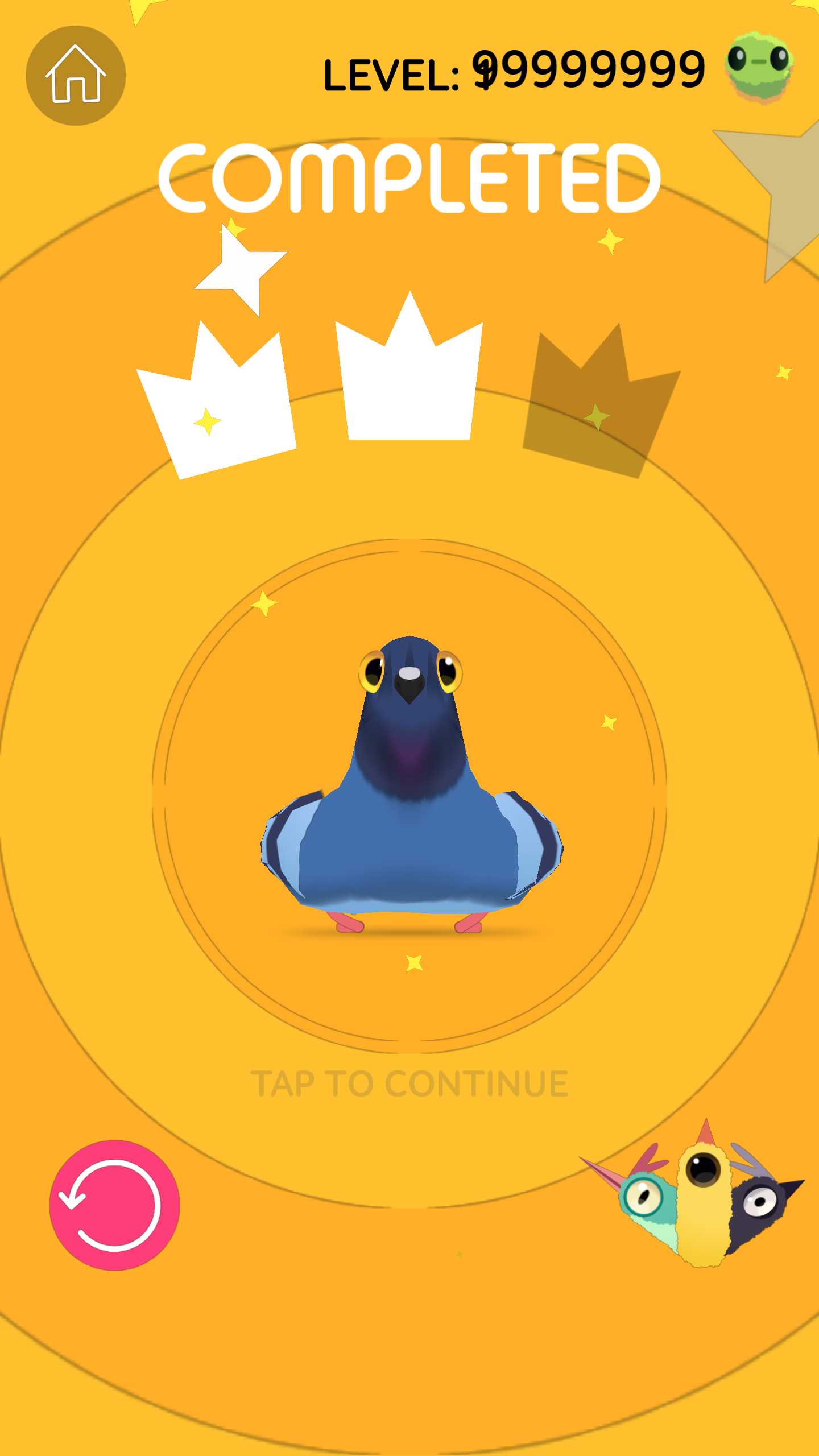 疯狂的鸽子(Pigeon Pop)