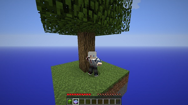 我的世界随机空岛生存