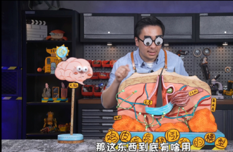 青桃视频app手机最新版下载