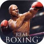 真实拳击