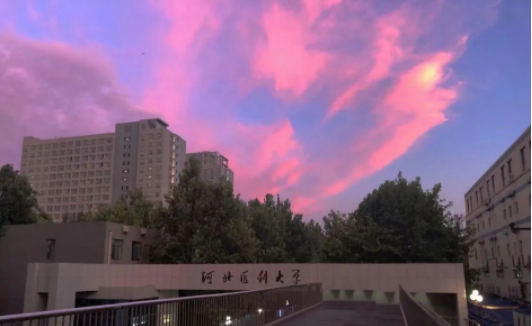 云上冀医app2023最新版