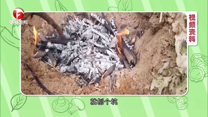 小飞电视app最新版