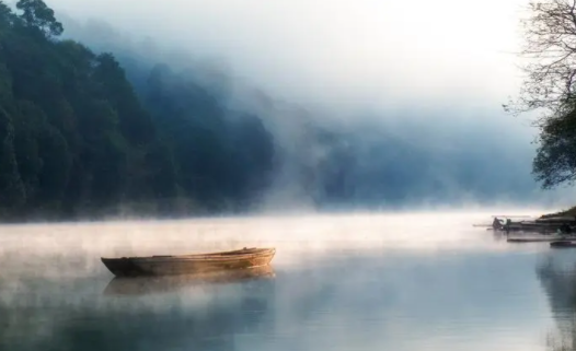 书虫小说app下载免费版