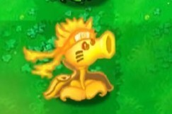 植物大战僵尸火影版