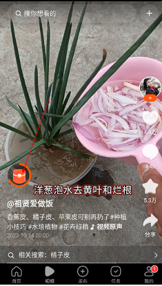 有柿下载红包版app 有柿下载红包版app