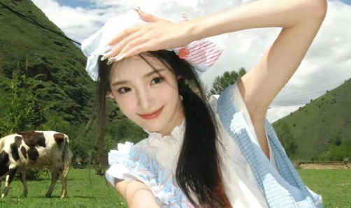 趣美壁纸app官方下载安装 趣美壁纸app官方下载安装