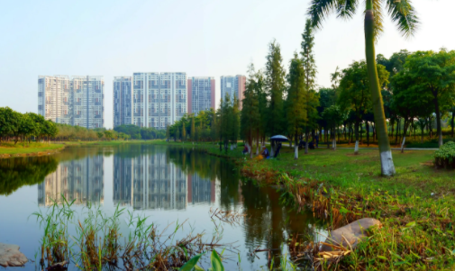 南国早报数字报刊 南国早报数字报刊