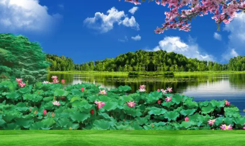 南国早报数字报刊 南国早报数字报刊