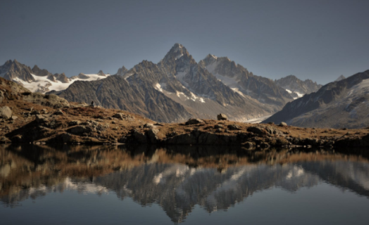 书虫小说app下载免费版