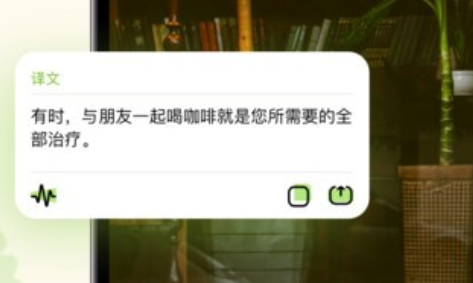 单词翻译帮app官方版下载 单词翻译帮app官方版下载