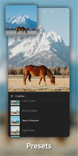 lightroom安卓手机版